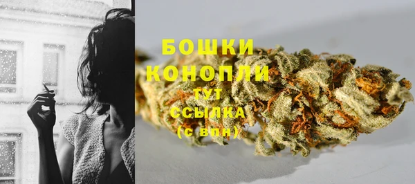 стафф Нея